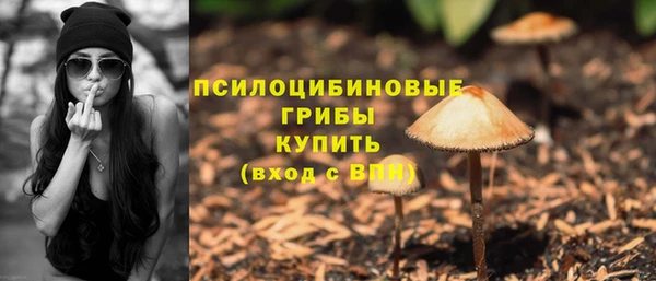 прущие крисы Баксан