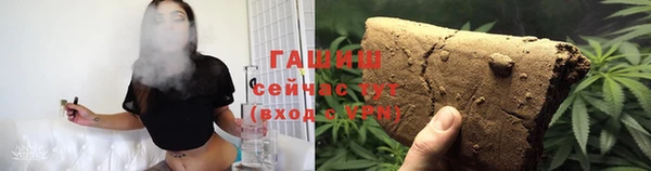 гашик Арсеньев