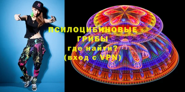 гашик Арсеньев