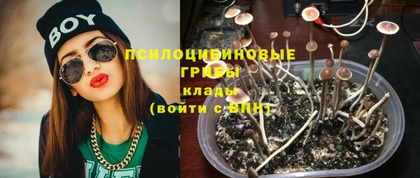 гашик Арсеньев
