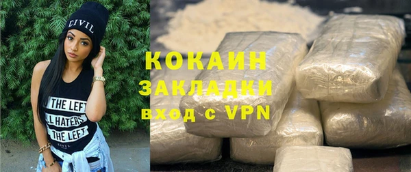 гашик Арсеньев