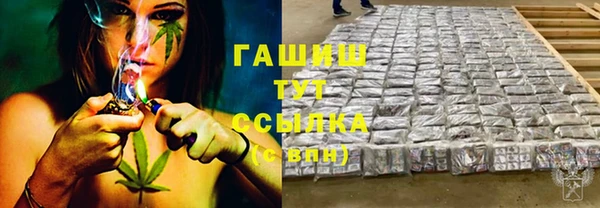 гашик Арсеньев