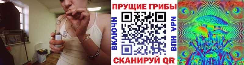 купить наркотики цена  Кубинка  площадка какой сайт  Псилоцибиновые грибы ЛСД 